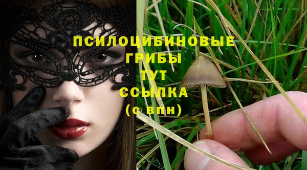 альфа пвп Елизово