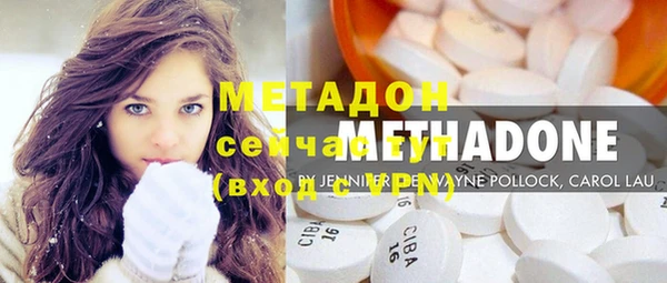 стаф Ельня
