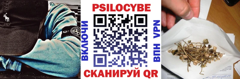 где продают   Крымск  Псилоцибиновые грибы Cubensis 