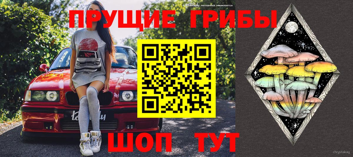 Псилоцибиновые грибы Крымск