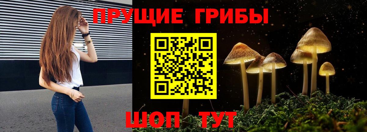 Галлюциногенные грибы ЛСД  Галлюциногенные грибы GOLDEN TEACHER  хочу   Вход с VPN  Крымск 