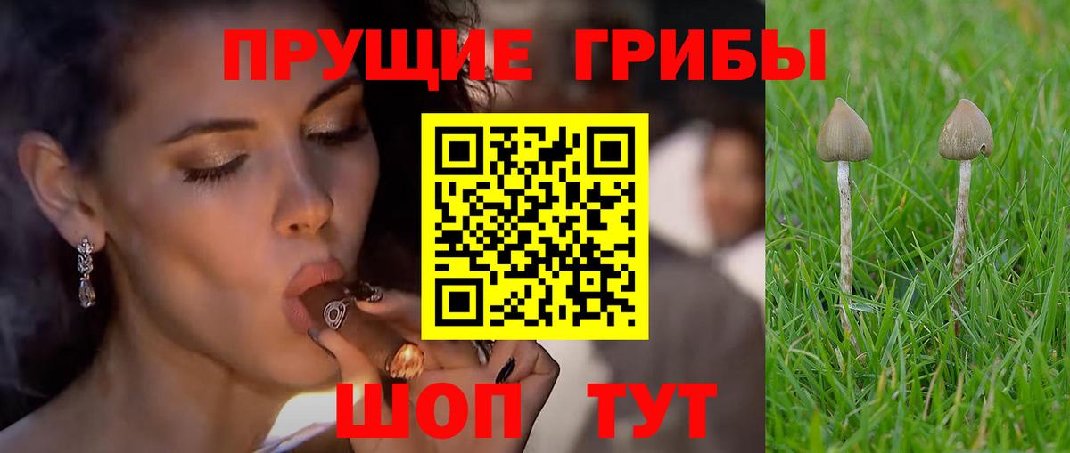 Псилоцибиновые грибы GOLDEN TEACHER Крымск